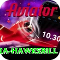antigua hawksbill Turbo v3.6.0