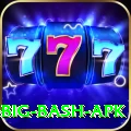 bbl big bash apk Deluxe Edition v1.2.2