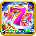 bbl cricket - Slots Extreme