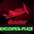 bingopkr Plus v3.1.4