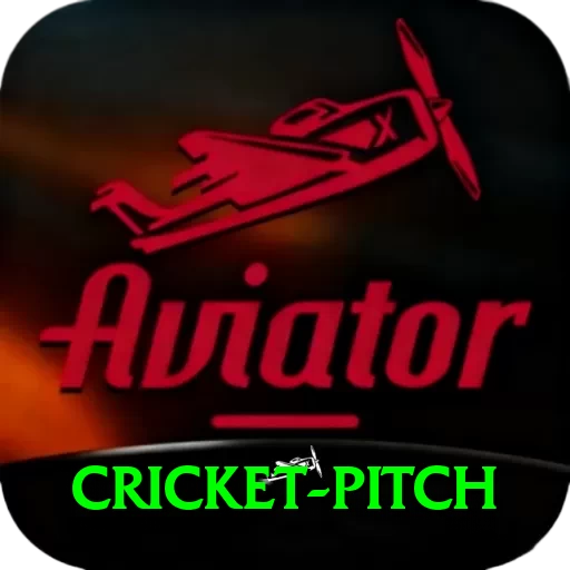 cricket pitch Turbo Pro v4.3.8 - 2