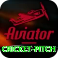 cricket pitch Turbo Pro v4.3.8