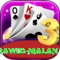 dawid malan Pro Edition v1.8.1