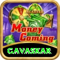 gavaskar Max v1.0.7