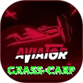 grass carp Pro Edition v5.0.2