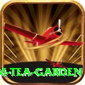 hile ilam tea garden Plus Edition v3.0.5