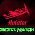 india next cricket match VIP v2.5.1