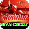 india pakistan cricket Elite Pro v3.8.6