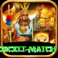 india pakistan cricket match Pro v5.1.8