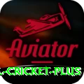 international cricket Super PK v3.2.7