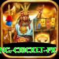make money betting cricket pk Deluxe Edition v4.3.5