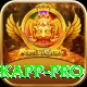 marizanne kapp Champion v4.4.3