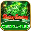 most runs in international cricket Max Gaming App