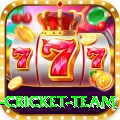 netherlands cricket team Pro1 v5.6.2