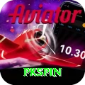 pkspin Deluxe Edition v2.6.4