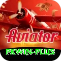 pkwin VIP v1.0.4