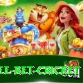 risk free bet cricket Premium Plus v1.7.7