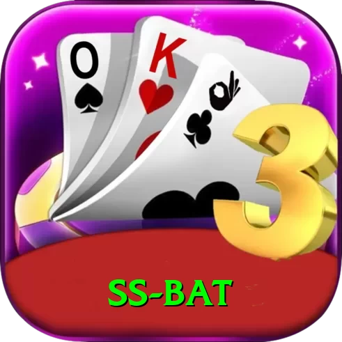 ss bat Turbo Pro v1.2.4 - 2