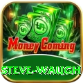 steve waugh Gold Edition v2.2.1