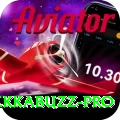 tekkabuzz Casino Premium v2.6.9