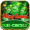 test cricket Gold v3.9.5