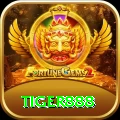 tiger888 Turbo Pro vv3.0.6