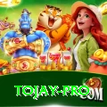 tojay Master v5.4.9