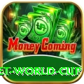 under 19 cricket world cup Gold v2.2.9