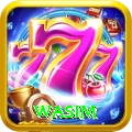 wasim VIP v1.3.4