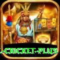watch live cricket App VIP v1.2.9