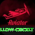 willow cricket Elite v2.7.2